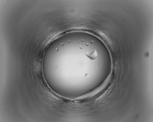 X0000090621361200707241119