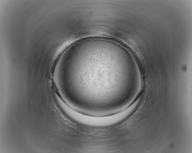 X0000090621363200707241119