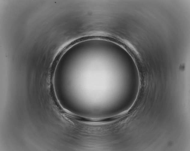 X0000090621364200707241119