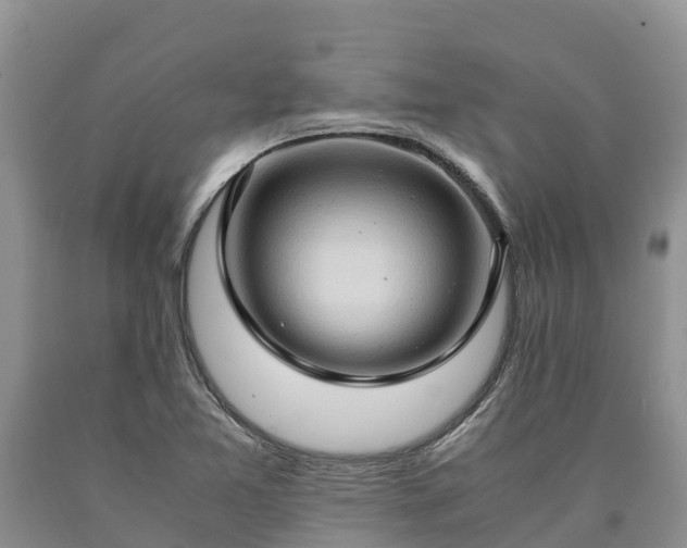 X0000090621365200707241119
