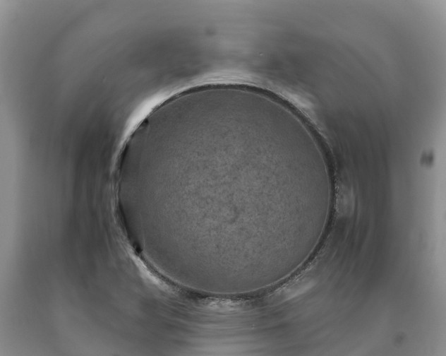X0000090621366200707241119