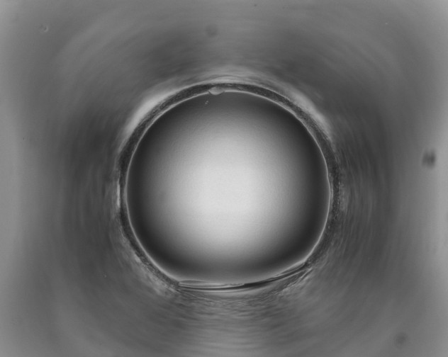 X0000090621368200707241119