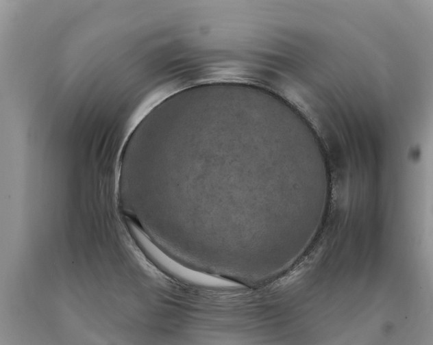 X0000090621370200707241119