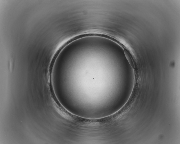 X0000090621372200707241119