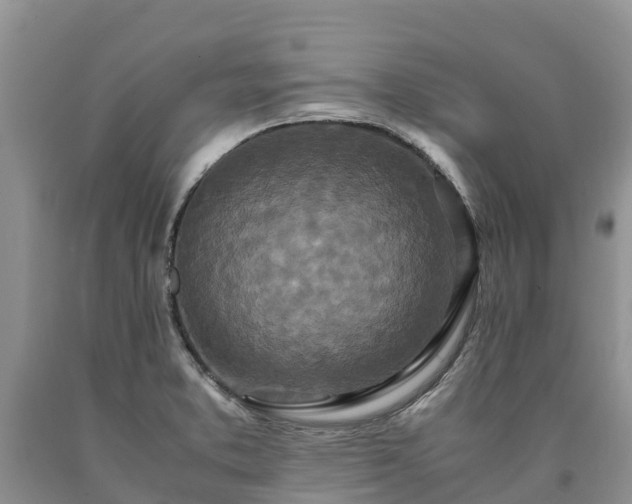 X0000090621373200707241119