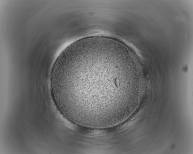 X0000090621375200707241119
