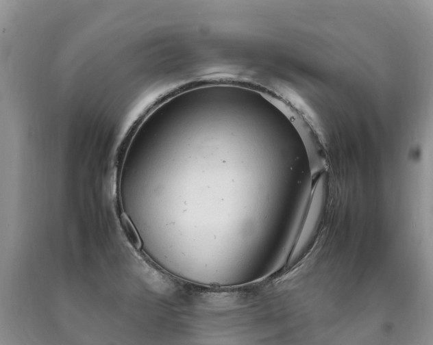 X0000090621376200707241119