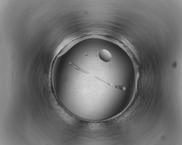 X0000090621378200707241119