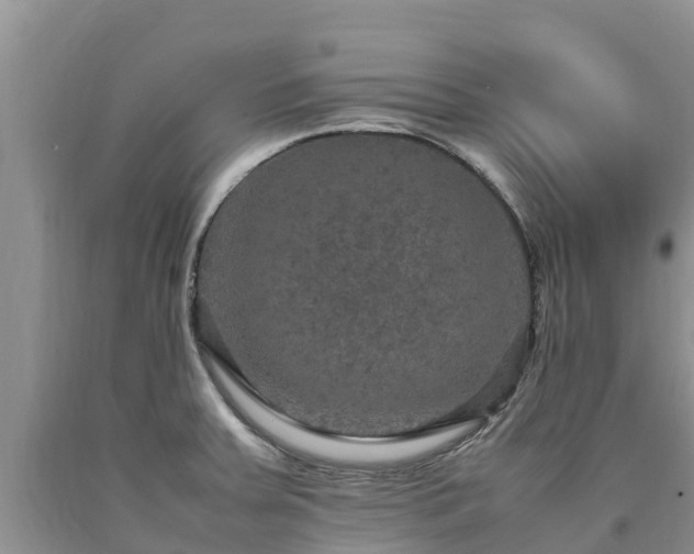 X0000090621379200707241119