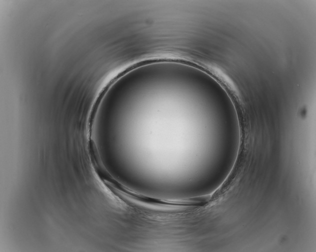X0000090621380200707241119
