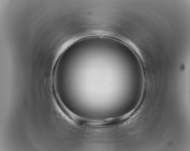 X0000090621381200707241119