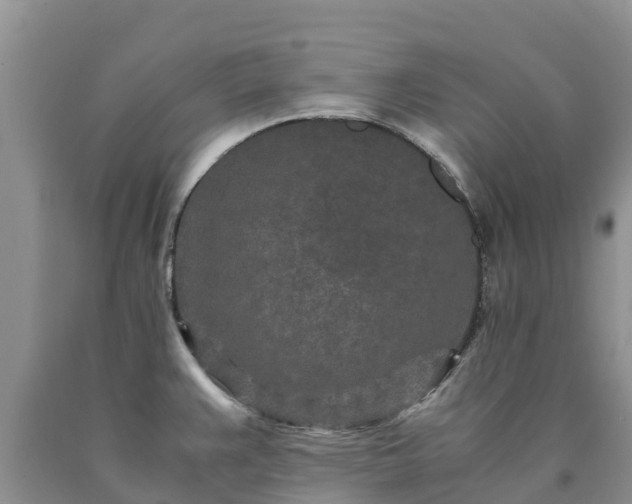 X0000090621383200707241119