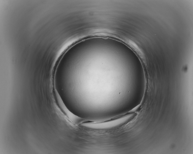 X0000090621384200707241119