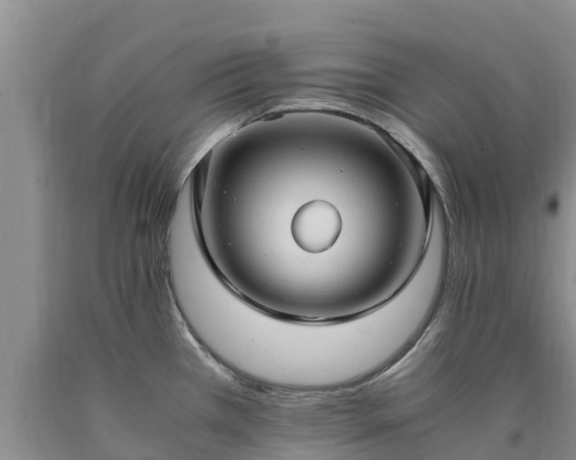 X0000090621385200707241119