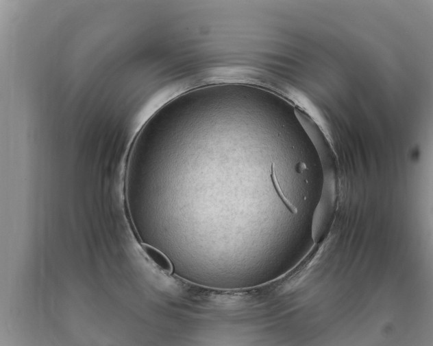 X0000090621386200707241119