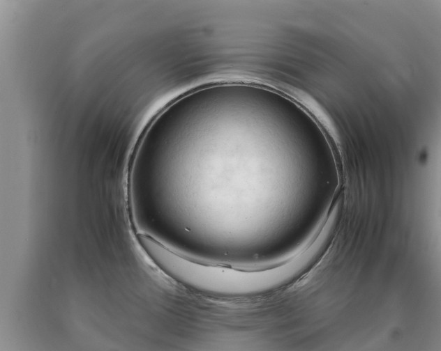 X0000090621388200707241119