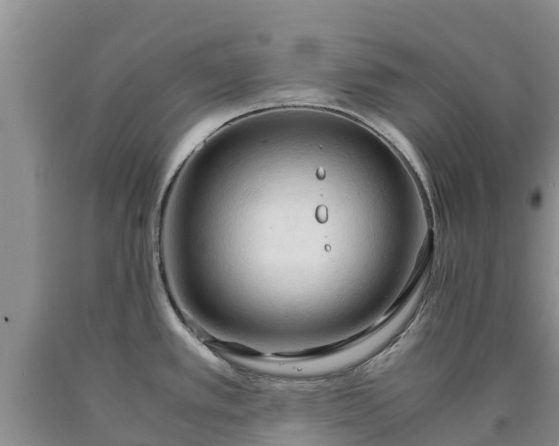 X0000090621389200707241119