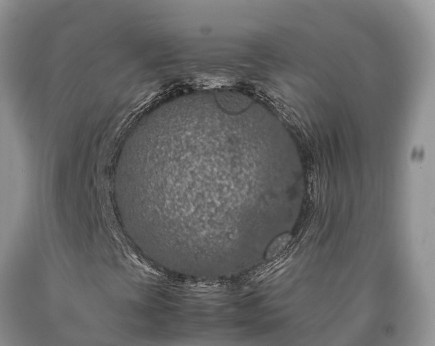 X0000090621393200707241118