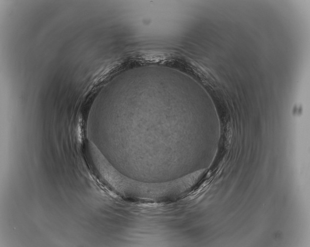 X0000090621394200707241118