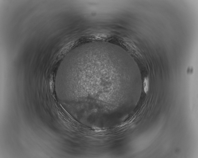 X0000090621395200707241118