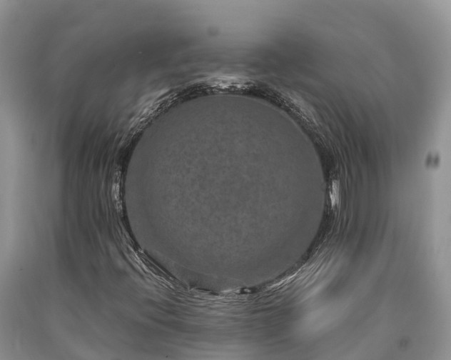 X0000090621396200707241118