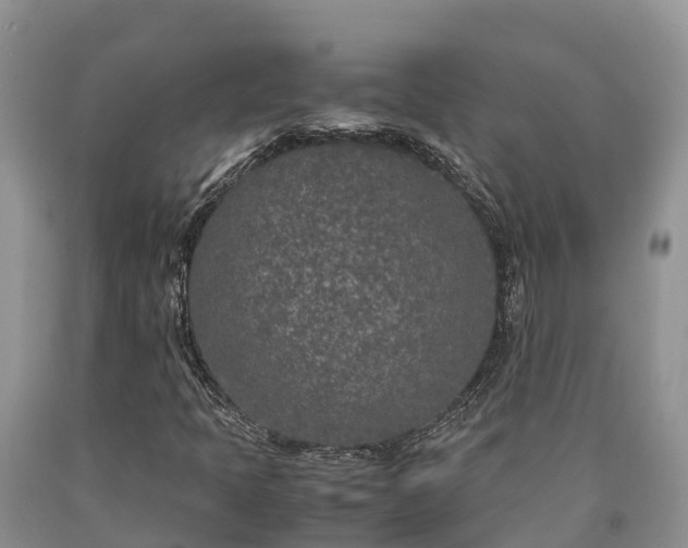 X0000090621397200707241118