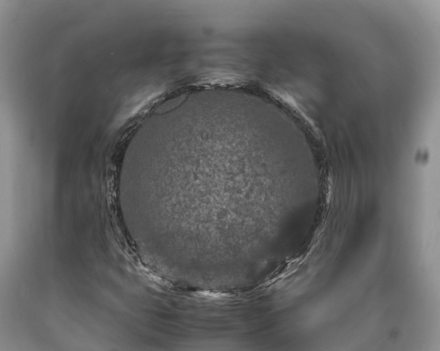 X0000090621399200707241118