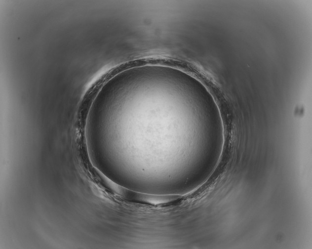 X0000090621400200707241118