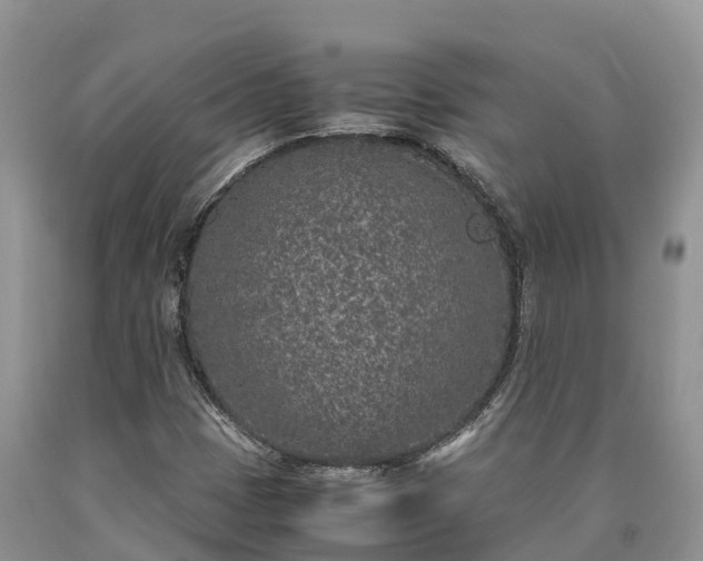 X0000090621401200707241118