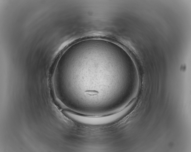X0000090621404200707241118