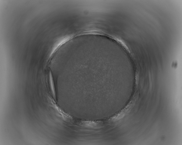 X0000090621405200707241118