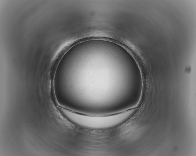 X0000090621408200707241118