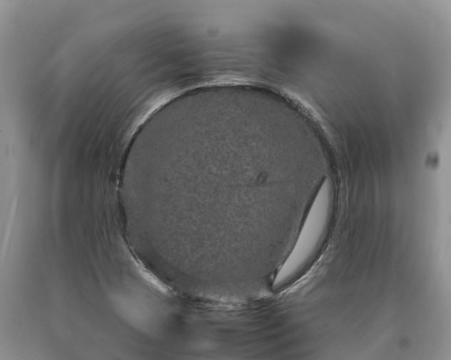 X0000090621409200707241118