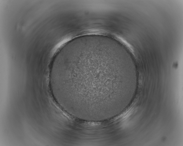 X0000090621411200707241118