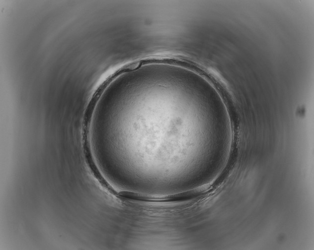X0000090621412200707241118