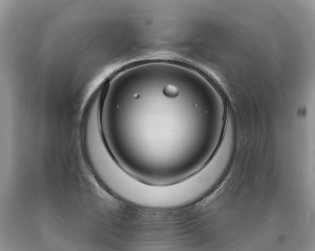 X0000090621414200707241118