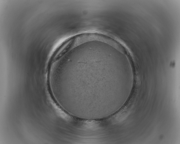 X0000090621416200707241118