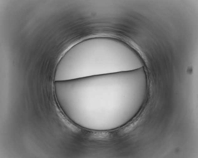 X0000090621417200707241118