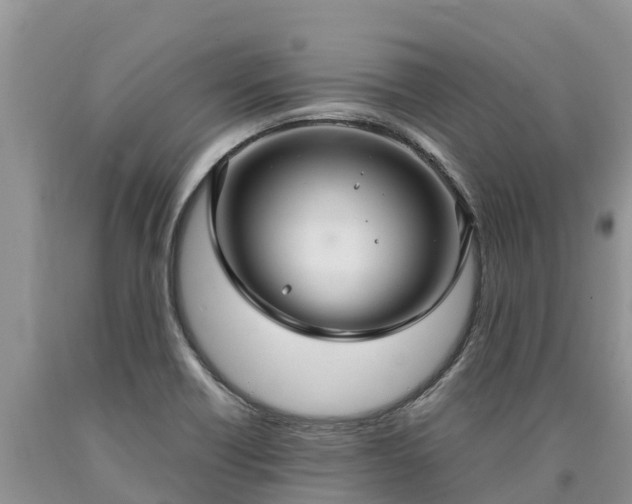 X0000090621418200707241118