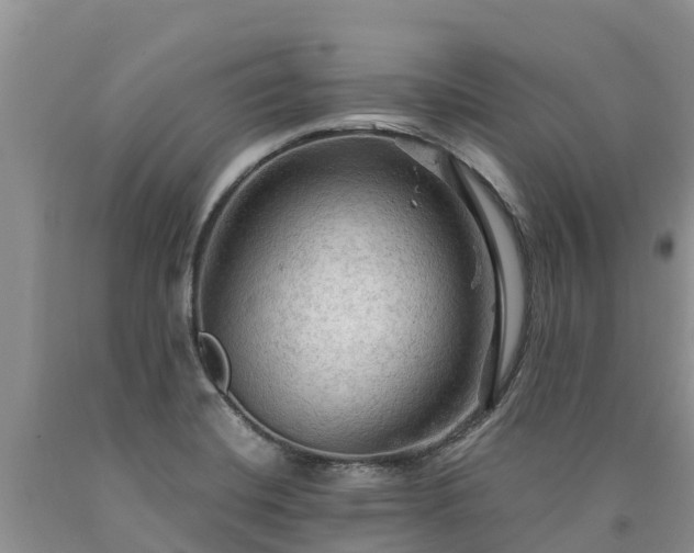 X0000090621420200707241118