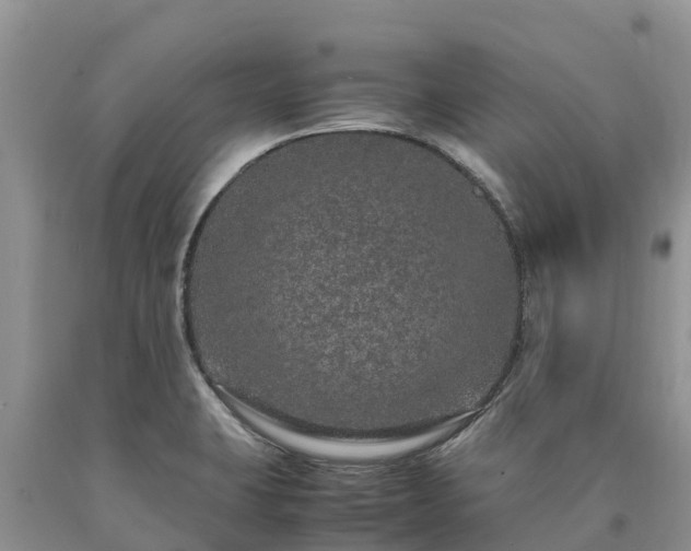 X0000090621423200707241118