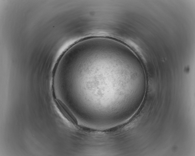 X0000090621424200707241118