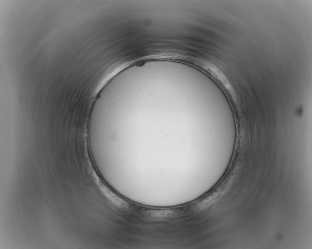 X0000090621425200707241118