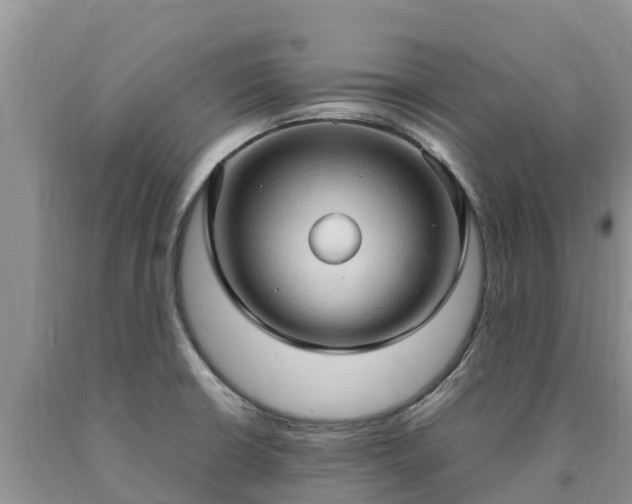 X0000090621426200707241118