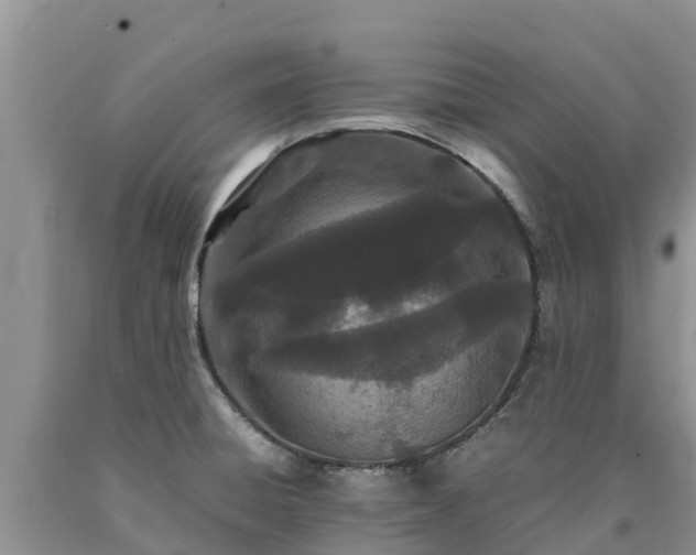 X0000090621428200707241118