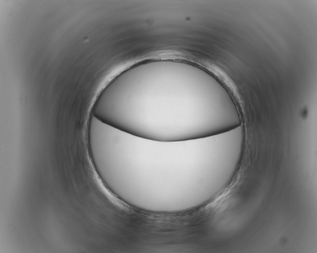 X0000090621429200707241119
