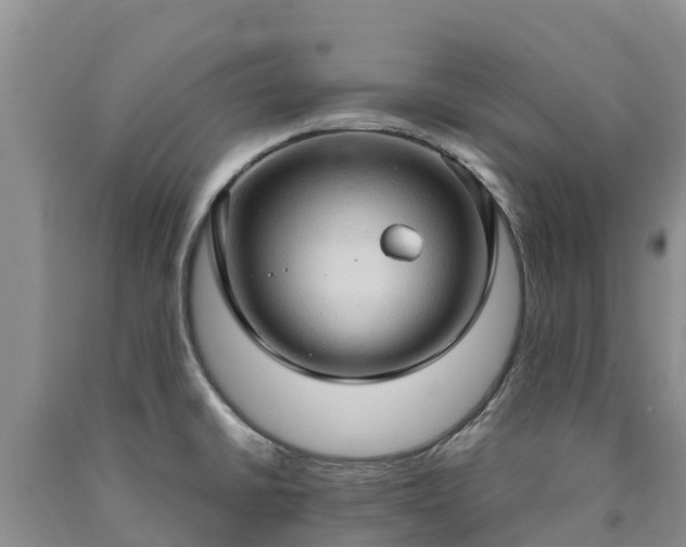 X0000090621430200707241119