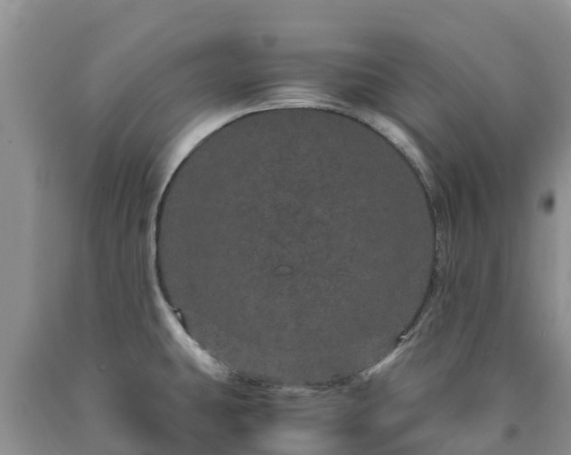X0000090621431200707241119