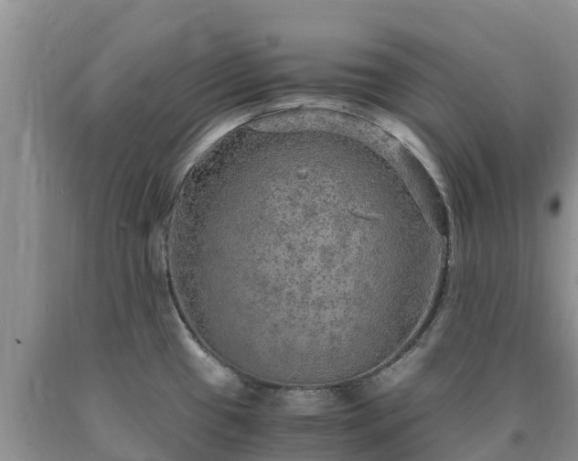 X0000090621433200707241119