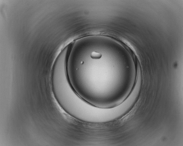 X0000090621434200707241119